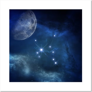 Zodiac sings Sagittarius Posters and Art